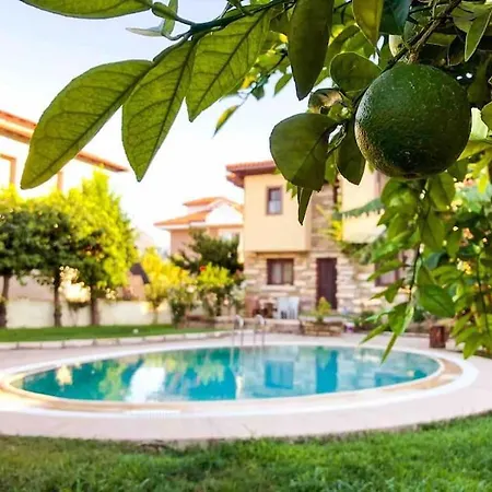 Tas Center ,detached Garden & Pool Villa *