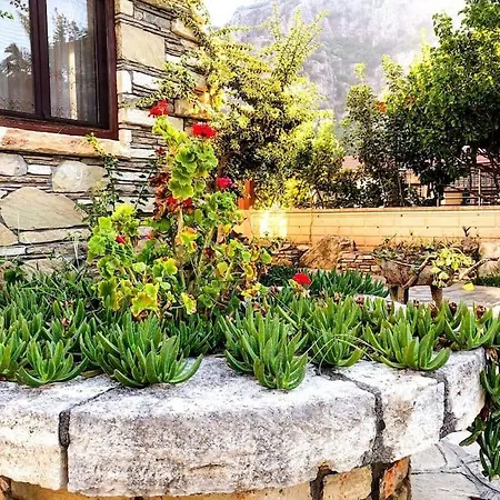 Tas Center ,detached Garden & Pool Villa Dalyan